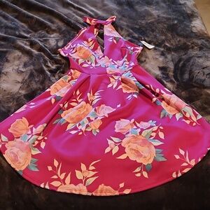 Charlotte Russe Magenta Floral Print Dress